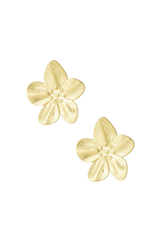 earrings petal pop