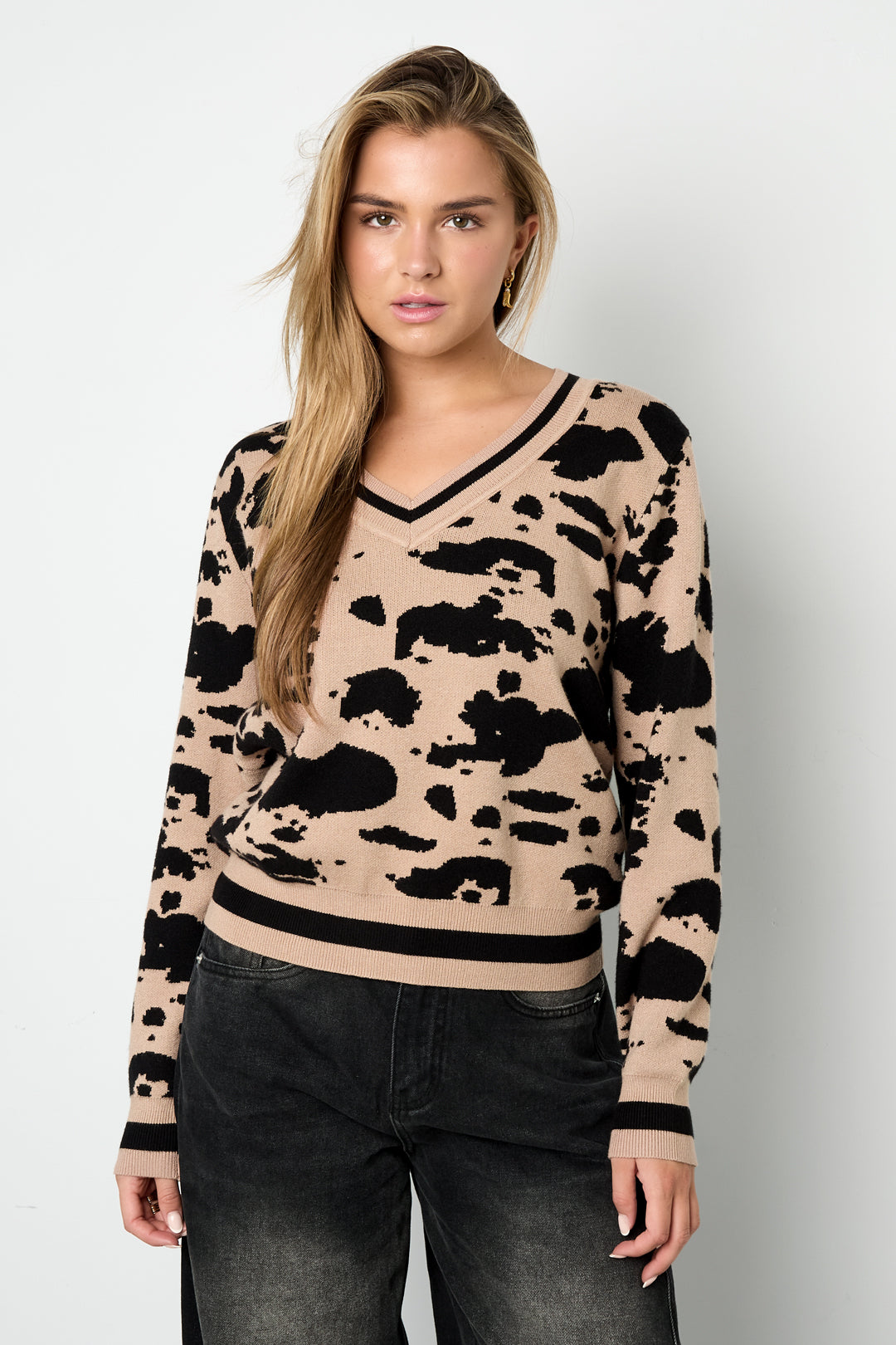 Knitted (including crochet and woolen fabrics) Leopard Print Women's V-Neck Sweater Fall/Winter Casual