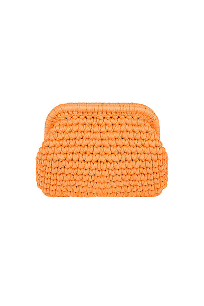 The Colorful Clutch bag