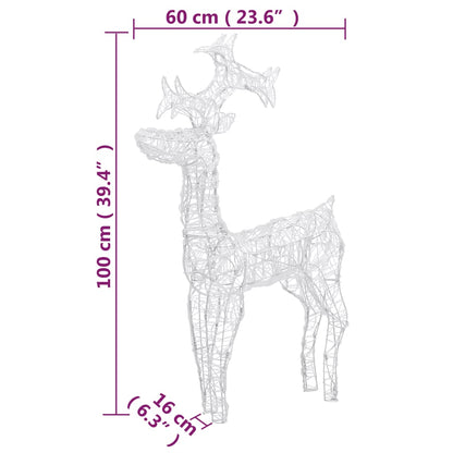 Kerstversiering Rendier Acryl