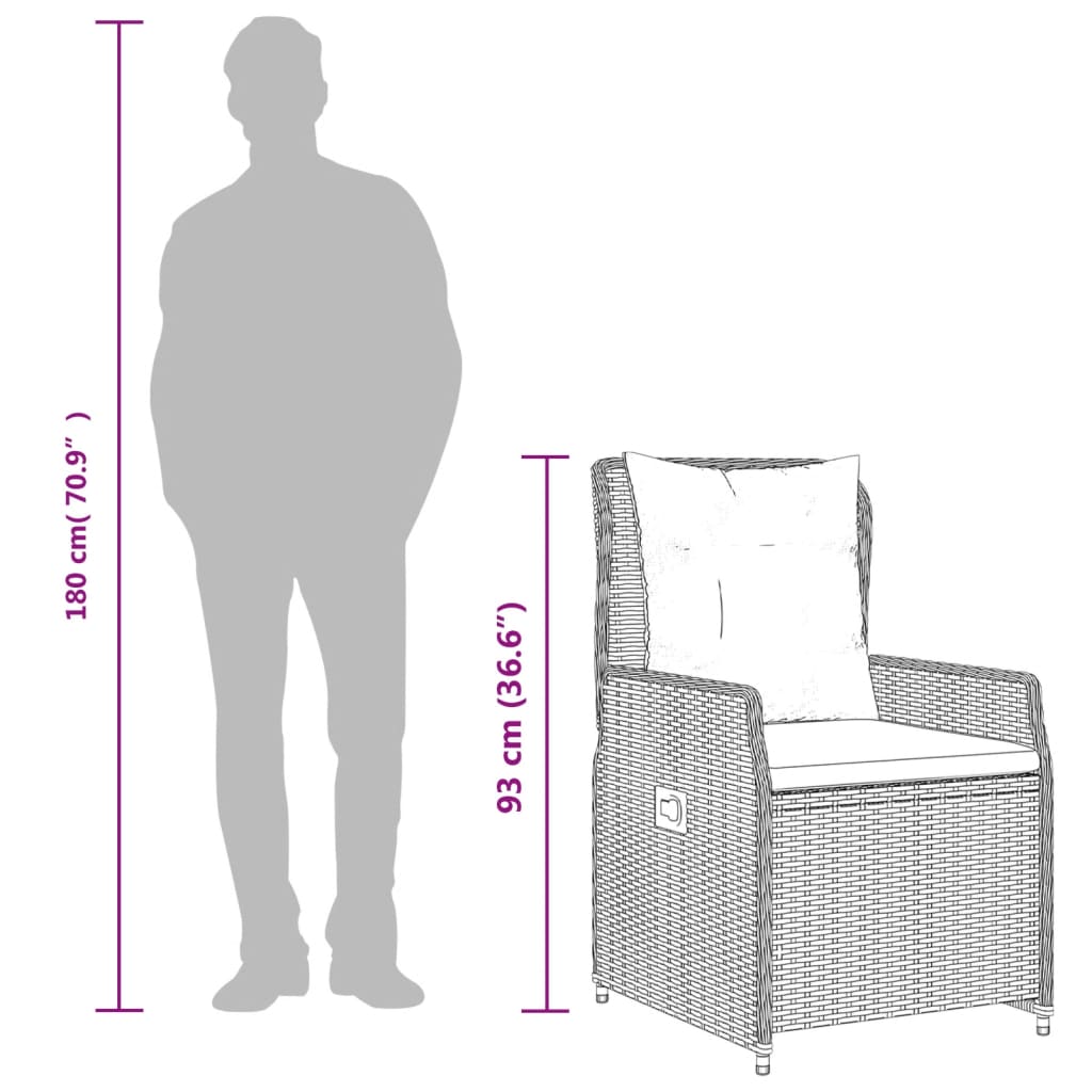 5-Delige Tuinset Met Kussens Poly Rattan