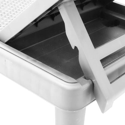 Ligbed In 4 Standen Verstelbaar 155,5X57X28 Cm Polypropeen