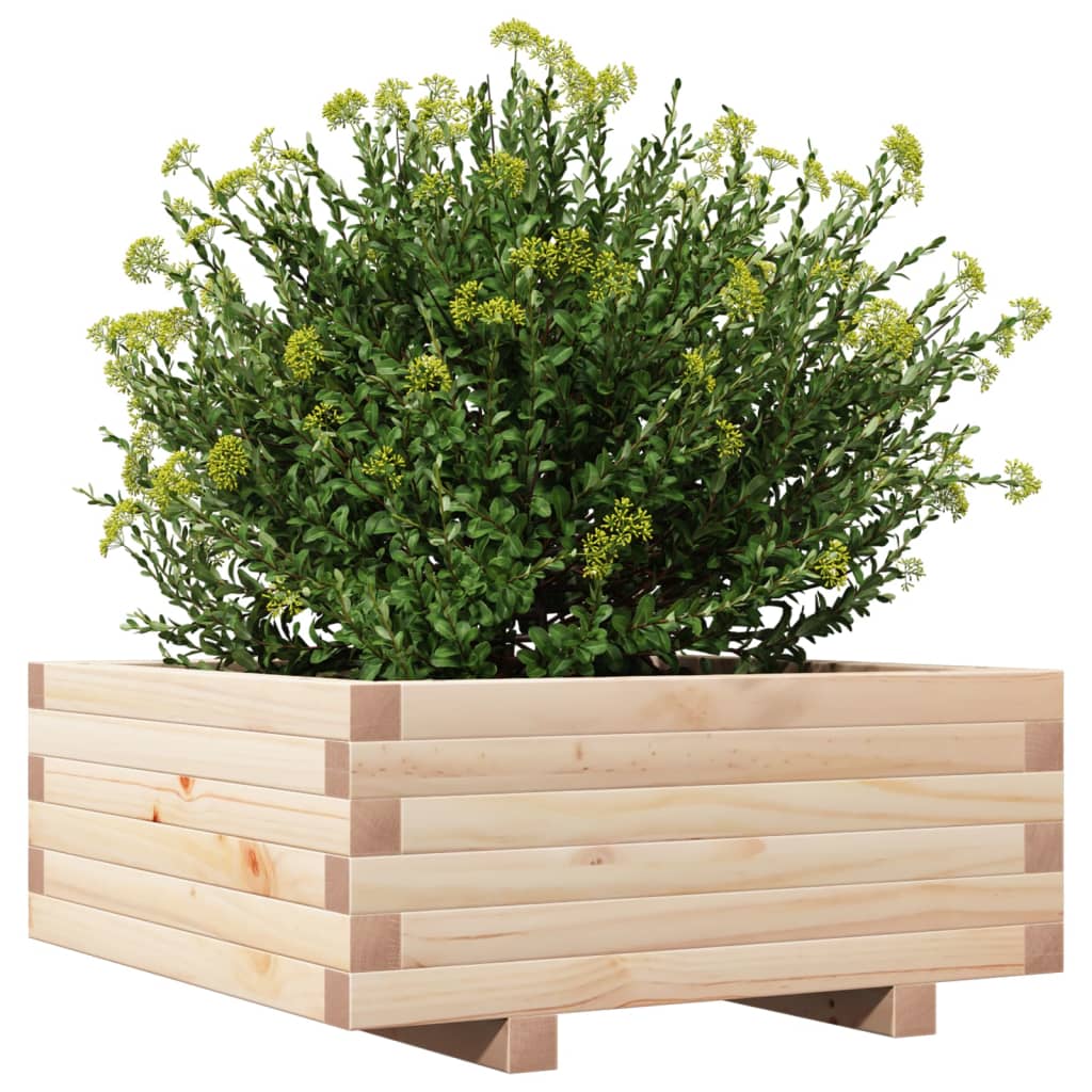 Plantenbak 60X60X26,5 Cm Massief Grenenhout