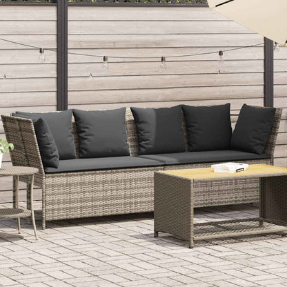 Tuinbank Met Kussens Poly Rattan