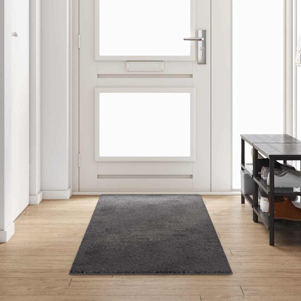 Tapijt Loper 100% Polypropylene Tuft